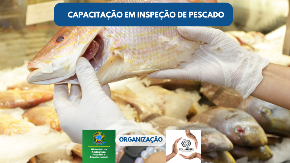 Read more about the article Inspeção de pescado é o foco de capacitação oferecida pelo CIM/Amurel , dia 10
