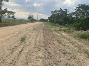 Read more about the article IMA autoriza supressão da vegetação no trecho lagunense da Aggeu Medeiros e último entrave da obra está desfeito